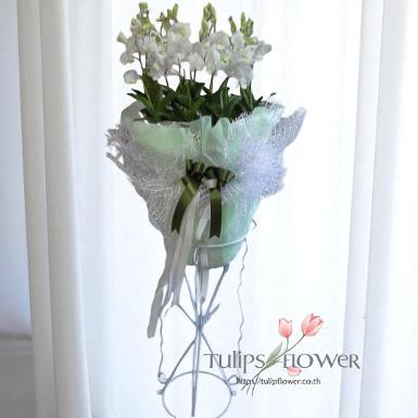 TW 10006 หรีดต้นไม้